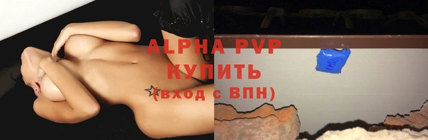 СК Белокуриха