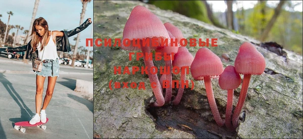 СК Белокуриха